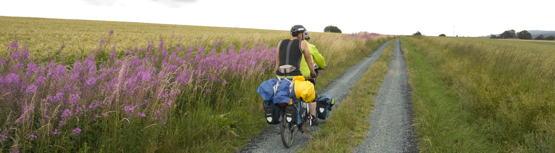 Tandem mit zwei Teilnehmern radeln in ein lila blühendes Feld hinein.