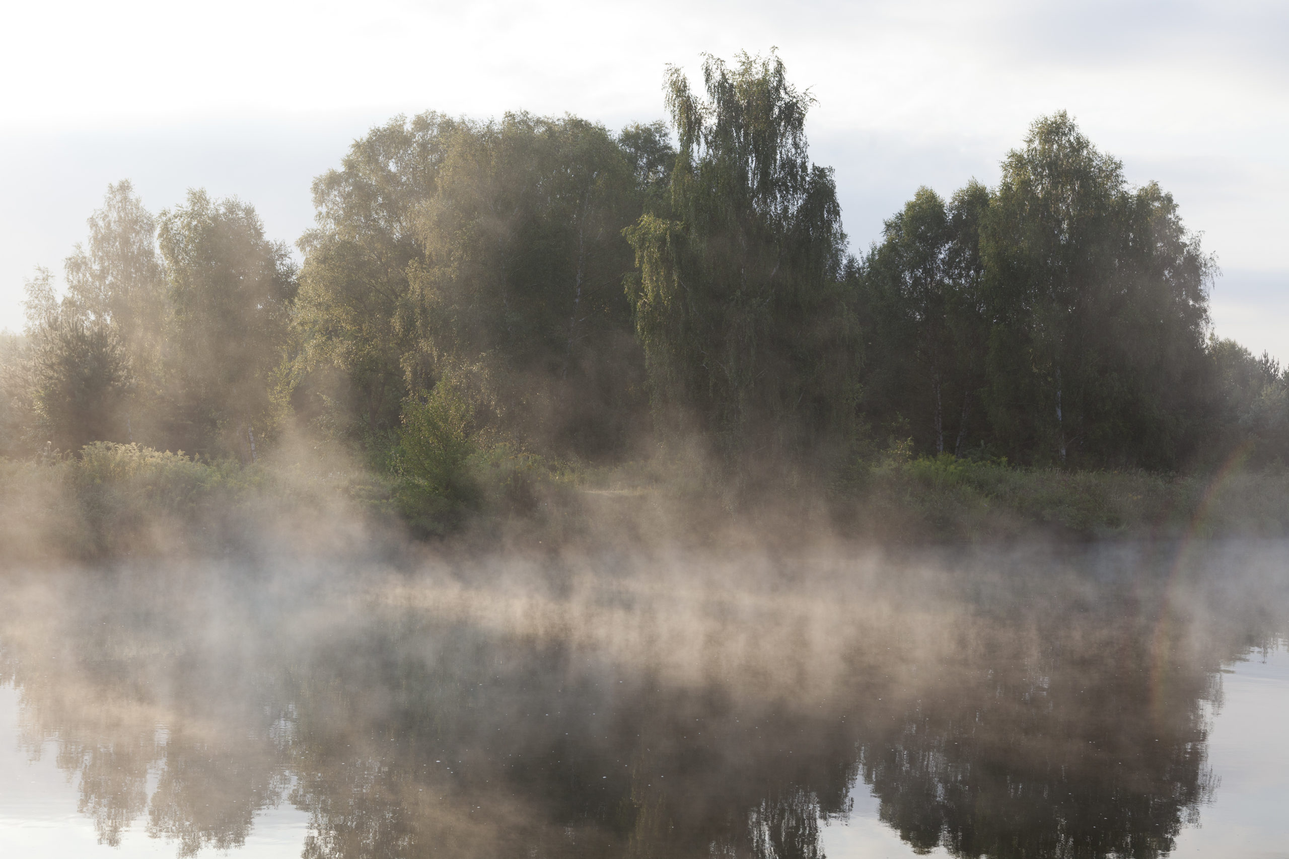 Naturlandschaft mit Nebel, Sinnbild für Depression