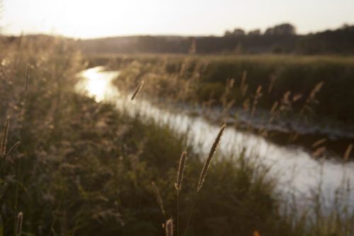 Fluß im Abendlicht