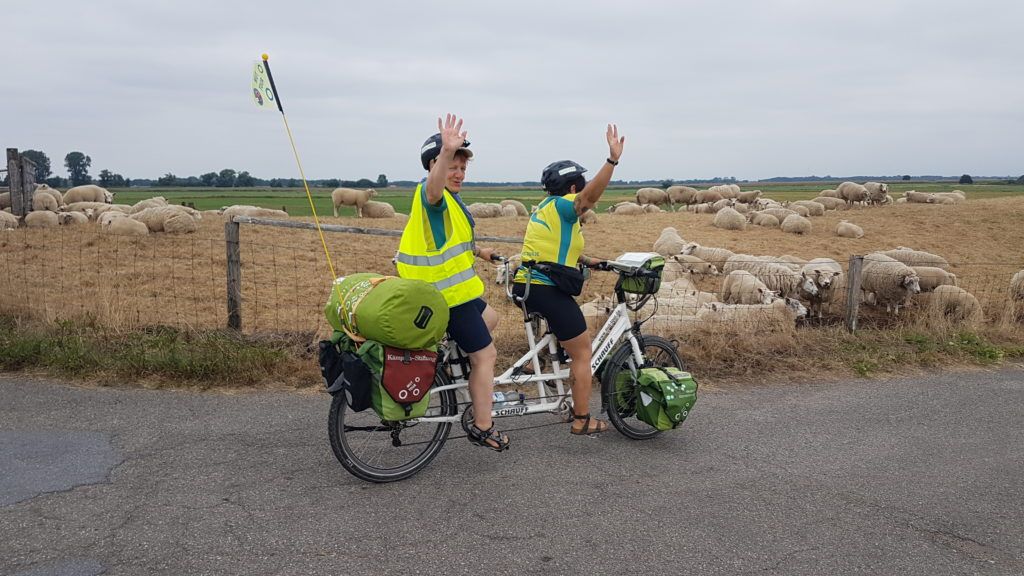 Andrea auf Tandem vor Schafherde