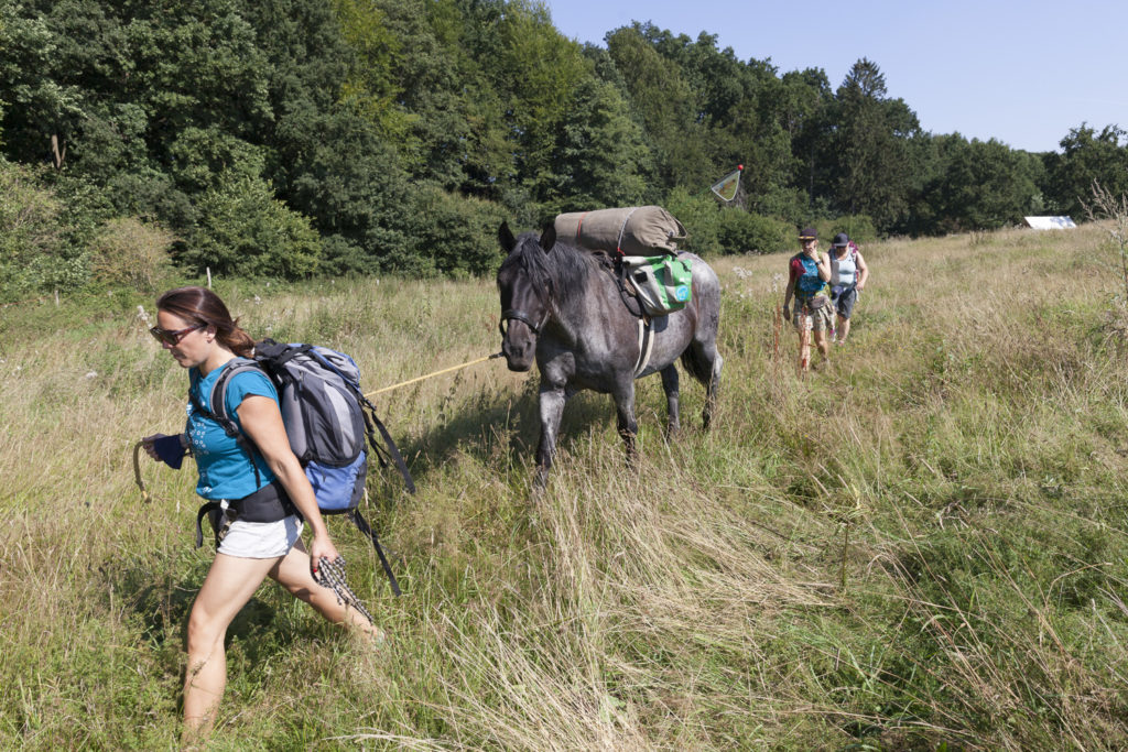 Louisa während des Mut-Wanderns in Begleitung von Pferden, Pferde gestützes Wandern