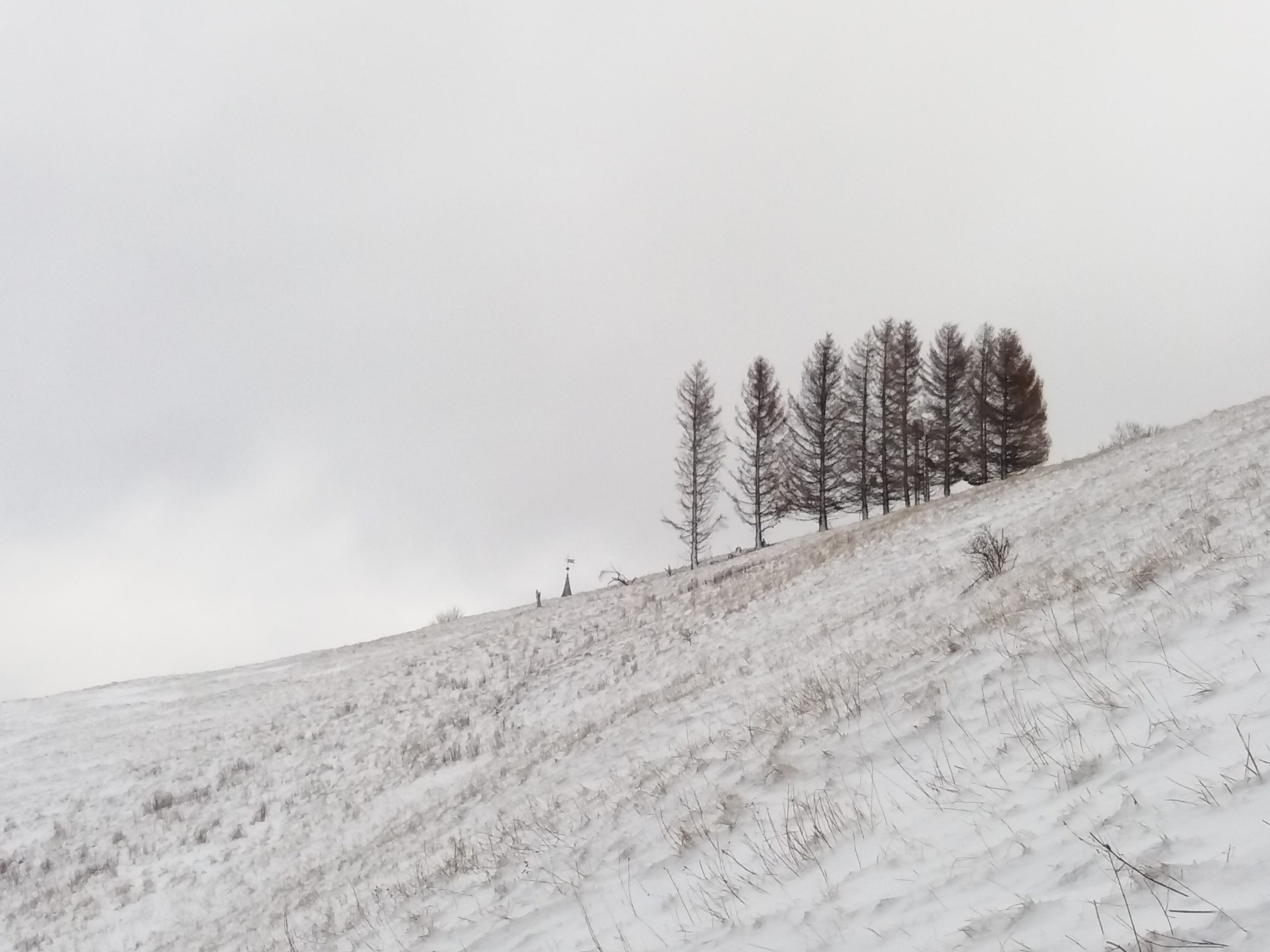 Winterlandschaft Harz