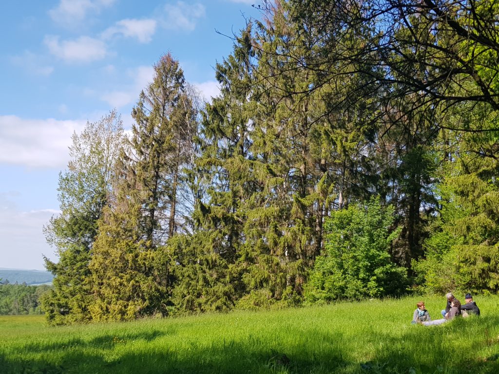 Natur pur beim MIT-MACH-WOCHENENDE in Kassel