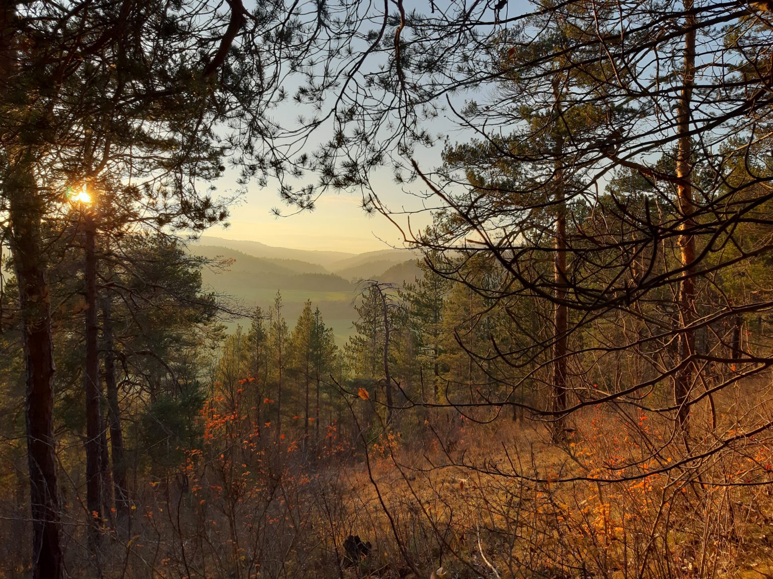 Natur hat nachgewiesene Effekte auf die psychische Gesundheit