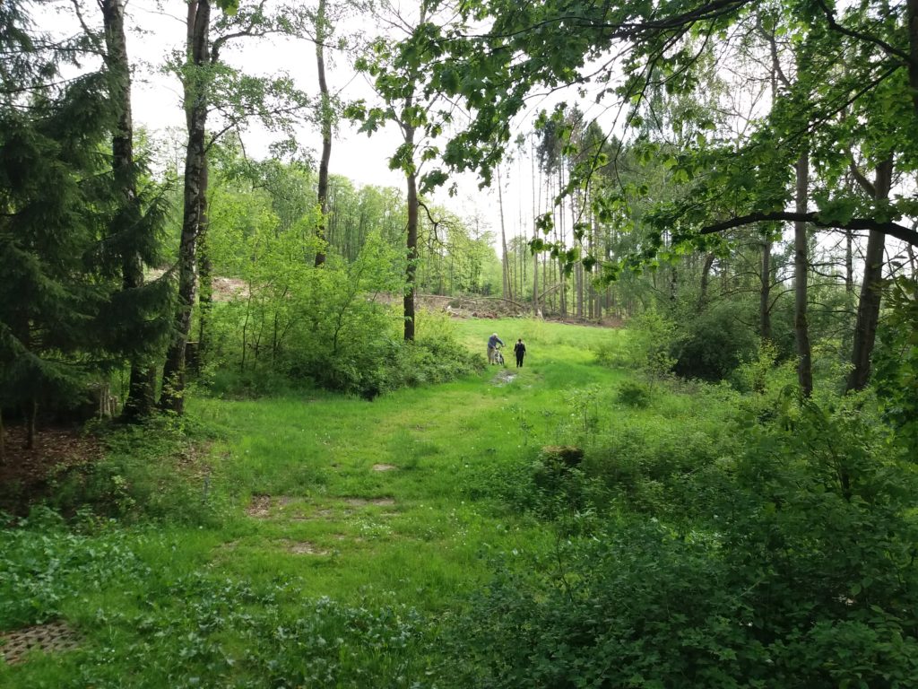 Natur_Wirkung_psychische_Gesundheit positive wirkung der Natur auf psychische Gesundheit