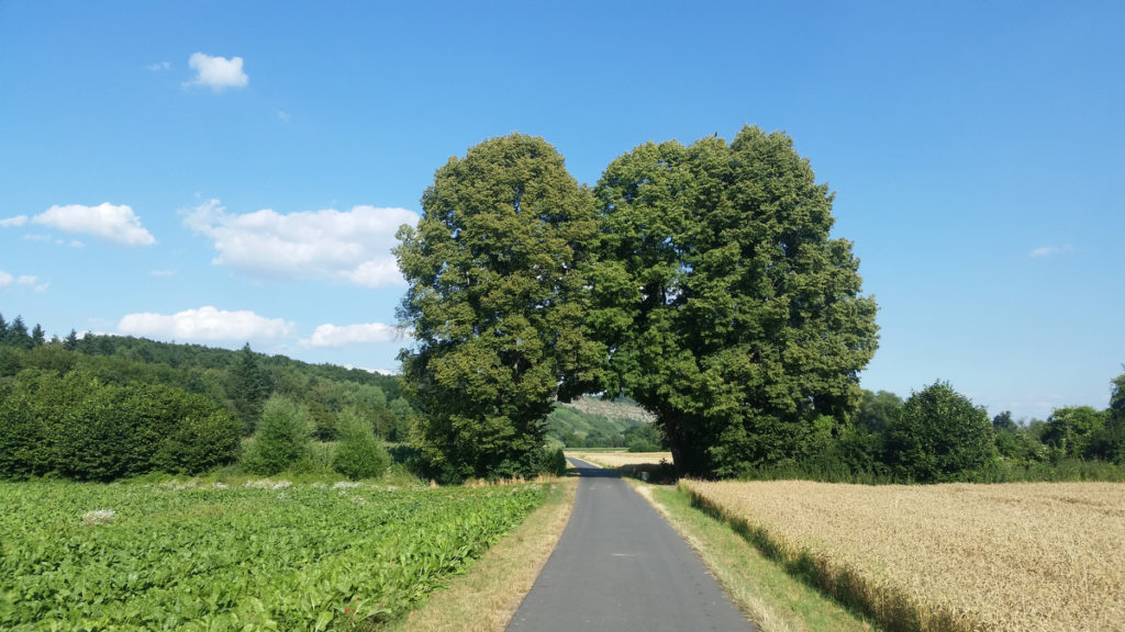 Weg zu mehr Selbsthilfe, Symbolbild