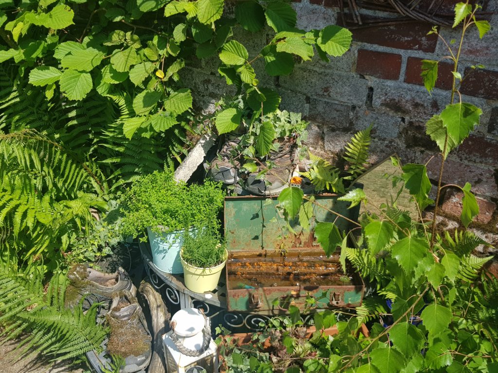 psychischeKrisen_komplex_Beratung_hilft grünes Dickich als Sinnbild für komplexe psychische Krisen