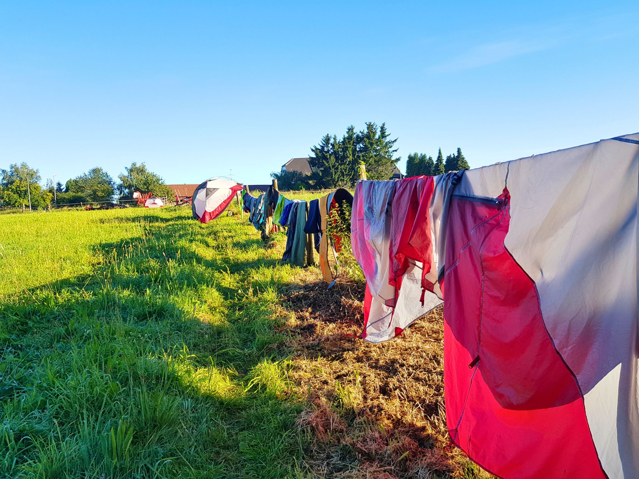 Nasse Zelte und Kleidung trocknen auf einer Wäscheleine auf einer grünen Wiese