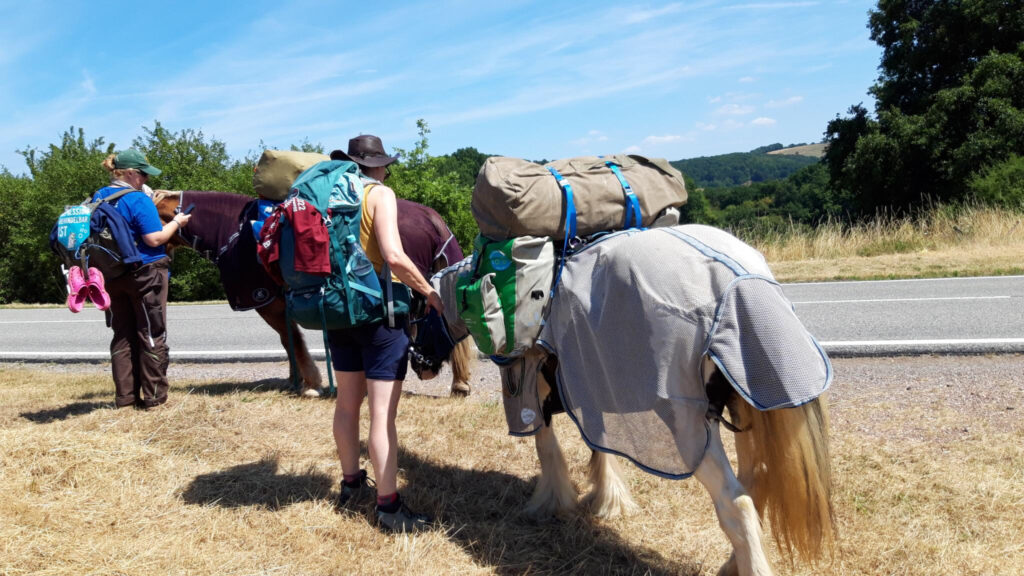 Wandern für mehr Offenheit im Umgang mit Depressionen