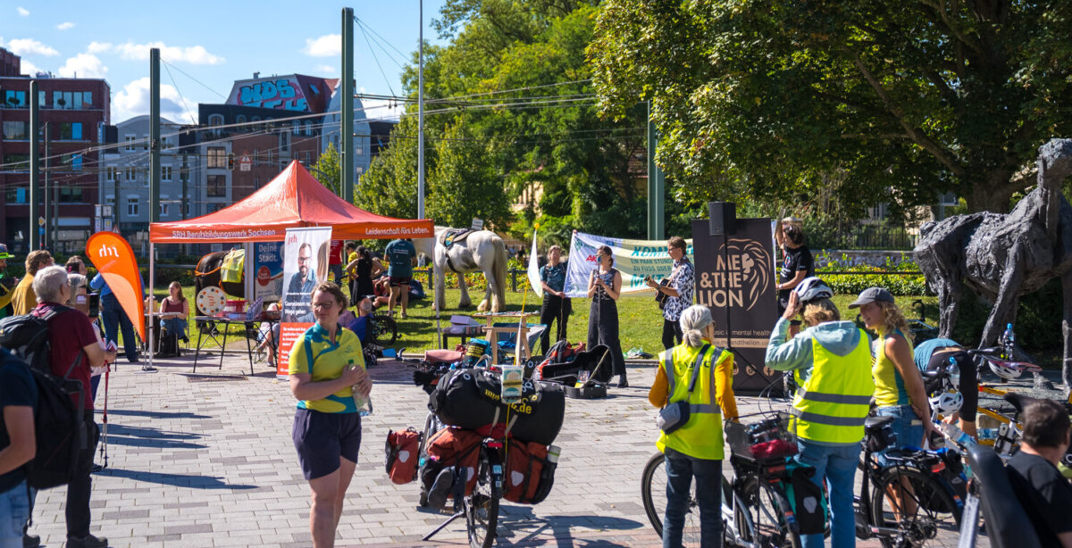 Aktionstag in Rostock auf dem all inklusiv Festival mit Me & the Lion, Tandems, ADFC, Pferden