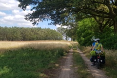 MT22_Fahrrad-fahren_Natur_Weg-in-die-Selbsthilfe