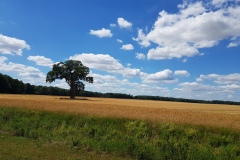 MT22_Fahrradwege-Deutschland_Natur