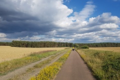 MT22_Natur_Weg-ist-das-Ziel