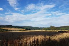 MT22_W2_Natur_Pfalz