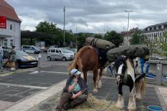 MT23_Pferde-Wandern_-Offenheit-im-Umgang-mit-Deprsssion
