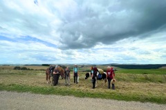 MT23_Pferdewanderung_Akzeptanz_Natur
