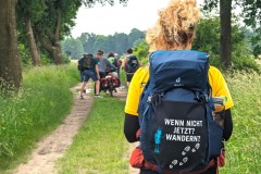 MUT-TOUR-2024_MUT-Wanderung_Bewegung_Depression