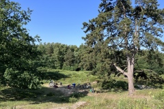 25-06-13-08-35-06-8316