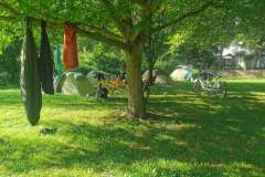 Mehrere Zelte stehen in einem Garten, an einem Baum hängen Schlafsäcke und Taschen