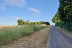 MUT-TOUR-2026_Tandem_Natur_Psychische-Gesundheit